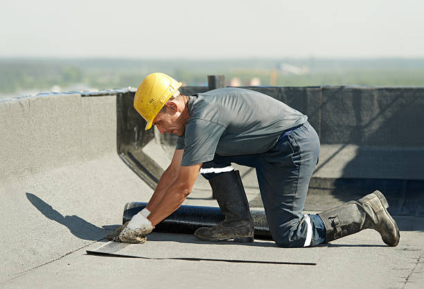 Best DIY Insulation Kits and Guidance in Eau Claire, WI